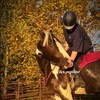 Логотип телеграм канала @equestrian_eva013 — –eviks_equine