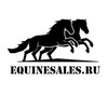 Логотип телеграм канала @equinesales — Equinesales.ru продажа лошадей