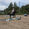 Логотип телеграм канала @equisofa — 𝐸𝓆𝓊𝒾&𝒮𝑜𝒻𝒶 🌿🪶