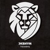 Логотип телеграм канала @equium_tyumen — «ЭКВИУМ» ТМН | Бизнес-сообщество