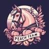 Logo of telegram channel equpeachesteam — PEACH.TEAM 🍑