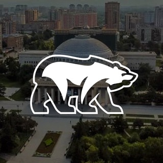 Логотип телеграм канала @er_novosibirsk — Новосибирская вЕРсия
