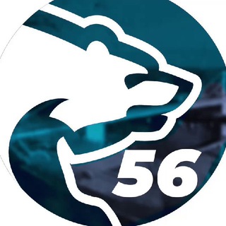 Логотип телеграм канала @er_orenburg — интЕРесно56