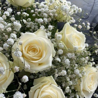 Логотип телеграм канала @eralasho — Эстетика🕊