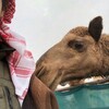 لوگوی کانال تلگرام eratdg — ٓ