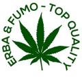 Logo saluran telegram erba_fumo_marijuana — Erba e Fumo - Top Quality