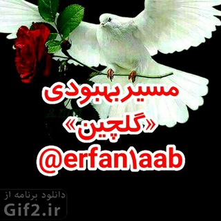 لوگوی کانال تلگرام erfan1aab — مسیر بهبودی«گلچین»