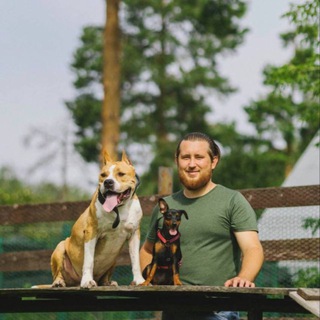 Логотип телеграм канала @erin_denis_dogtrainer — Денис Ерин | Дрессировка собак