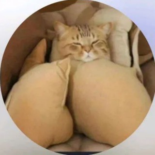 Logotipo del canal de telegramas erotika_videose_chicas - Radiación ☢️ ‌‌‌‌‎ ㅤㅤㅤㅤㅤㅤㅤㅤㅤㅤㅤㅤㅤㅤㅤㅤㅤㅤㅤㅤㅤㅤㅤㅤㅤㅤㅤㅤㅤㅤㅤㅤㅤㅤㅤㅤㅤㅤㅤㅤㅤㅤㅤㅤㅤㅤㅤㅤChicas por 18