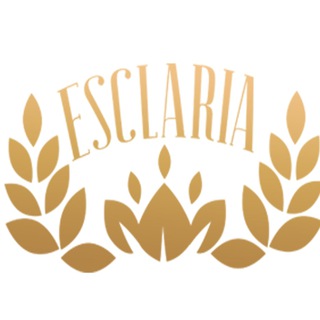 Логотип телеграм канала @esclaria — Esclaria Team
