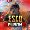 Logo of telegram channel esco_gaming_pubg — ESCO GAMING PUBG