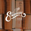 Логотип телеграм канала @eseninvoice — KARAOKE ESENIN VOICE 🎶