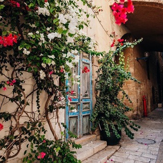 Telgraf kanalının logosu esenlik_yurdu — Esenlik Yurdu