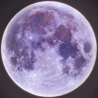 لوگوی کانال تلگرام eshghe_delam_deli — MOON🌔