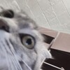 Логотип телеграм канала @eshkeremm0 — Как дела броу? 🎀