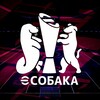 Логотип телеграм канала @esobaka_turnir — eSobaka Турниры