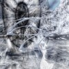 Logo of telegram channel esotericcrime — ESOTERIC CRIME