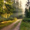 Логотип телеграм канала @esperanto_leto — Эсперанто-лето