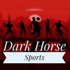 टेलीग्राम चैनल का लोगो esports_cricket — DARK HORSE SPORTS