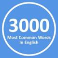 Logo saluran telegram essential3000englishwords — ۳۰۰۰ لغت ضروری انگلیسی