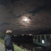 Логотип телеграм канала @essentieee — Эссенция🌀