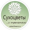 Логотип телеграм канала @esteeflowers — Estée Flowers