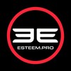 Логотип телеграм канала @esteem_ru — Аксессуары ручной работы Esteem.Pro