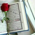 لوگوی کانال تلگرام estekharebaghoran77 — ( استخاره با قران 📖)