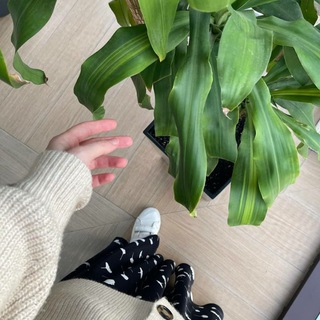 Логотип телеграм канала @esteticlove1 — 𝐄𝐬𝐭𝐞𝐭𝐢𝐤𝐚 𝐦𝐨𝐞𝐢 𝐝𝐮𝐬𝐡𝐢...