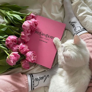 Логотип телеграм канала @estetika_foto — Обои на телефон🏞️