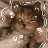 Логотип телеграм канала @esthedia — ⋆｡‧˚ʚ 𝑒𝓈𝓉𝒽𝑒𝒹𝒾𝒶 ɞ˚‧｡⋆ | Premium emoji | Themes | Wallpapers | Премиум эмоджи / эмодзи | Стикеры | Темы | Обои