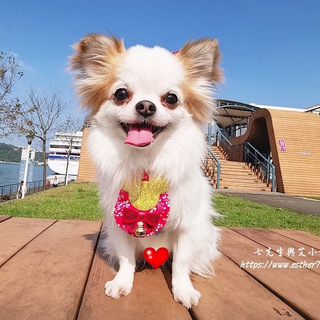 电报频道的标志 esther777777 — 七先生與艾小姐