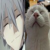 Логотип телеграм канала @eternal9silence — сегодня я счастлив