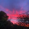Логотип телеграм канала @eternal_sunsets — вечные закаты
