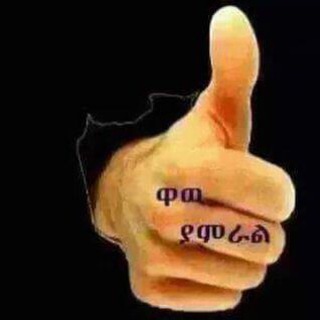 Logo of telegram channel ethio_page — Ethio page