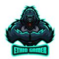 Logo saluran telegram ethiogamer1 — ETHIO GAMER