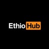 Telegram channel EthioHub logo