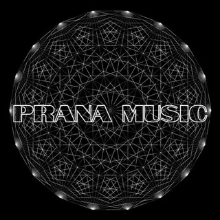 Logo of telegram channel ethnichousemusic — Prana music