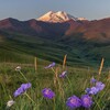 Логотип телеграм канала @etikju — этикетка❤‍🩹
