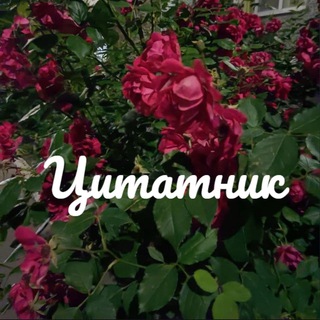 Логотип телеграм канала @eto_citatnik — Цитатник
