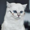 Логотип телеграм канала @eto_zhiznenno — Жизненно