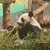 Логотип телеграм канала @etologichno — Это логично
