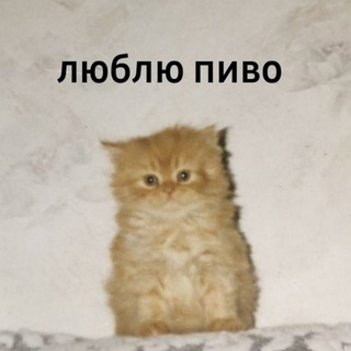Логотип телеграм канала @etotalcovlad — етот влад снова пьет