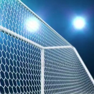 Telegram channel Goal Videos logo