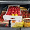 Логотип телеграм канала @euwiies — euwiies