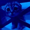 Telegram channel 🩵💙🖤 logo