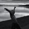 Логотип телеграм канала @eva_dance123 — ПРОСТО ТАНЦУЙ СО МНОЙ 💃✨