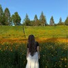 Логотип телеграм канала @evaaissme — сеуллу къыз