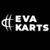Логотип телеграм канала @evakarts94 — EvaKarts - ProМузыку