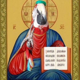 Логотип телеграм канала @evangelieotpapuga — Евангелие От Папуга